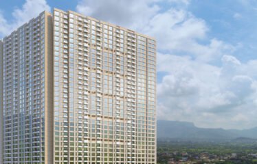 Maximus City – Live Infinite